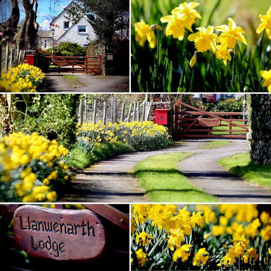 Llanwenarth Cottage A Beautiful Place To Just Be. 阿伯加文尼 外观 照片