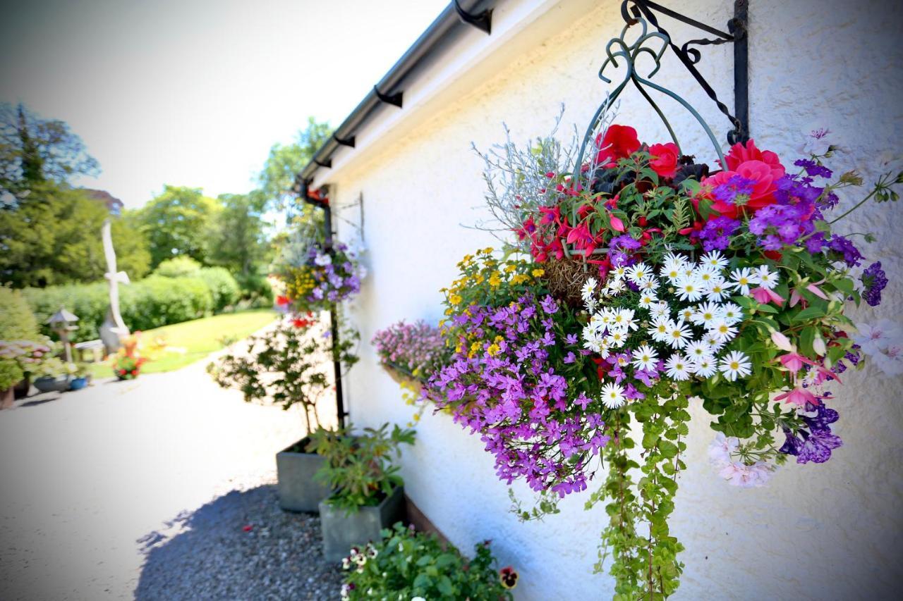Llanwenarth Cottage A Beautiful Place To Just Be. 阿伯加文尼 外观 照片